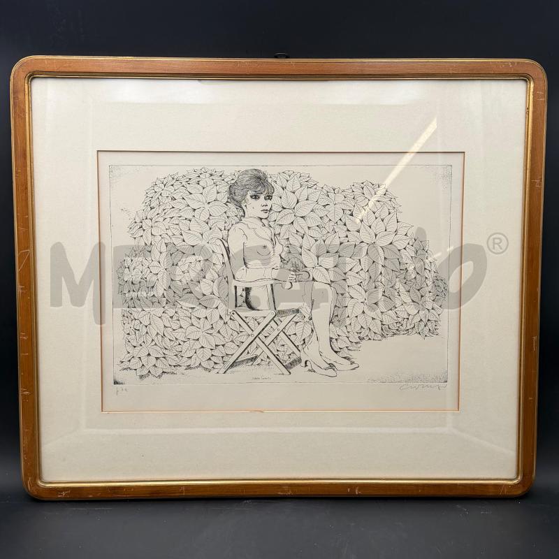 QUADRO ACQUAFORTE BRUNO CARUSO  ORTO BOTANICO CORNICE SMUSSATA  | Mercatino dell'Usato Roma torrevecchia 1