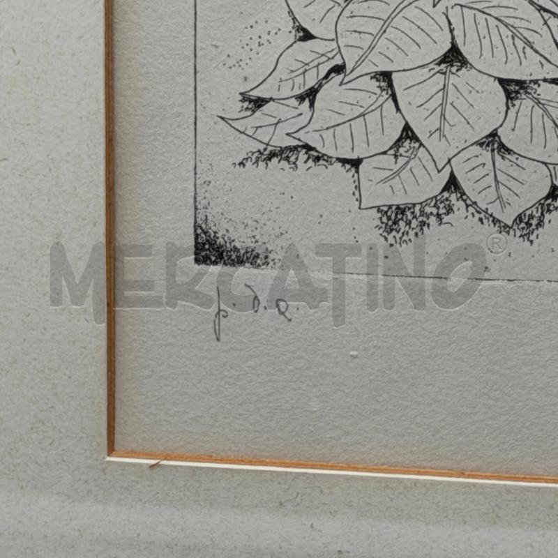 QUADRO ACQUAFORTE BRUNO CARUSO  ORTO BOTANICO CORNICE SMUSSATA  | Mercatino dell'Usato Roma torrevecchia 4