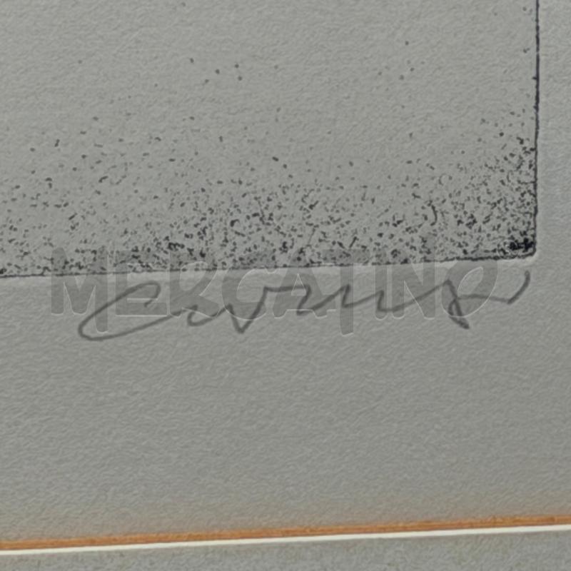 QUADRO ACQUAFORTE BRUNO CARUSO  ORTO BOTANICO CORNICE SMUSSATA  | Mercatino dell'Usato Roma torrevecchia 5
