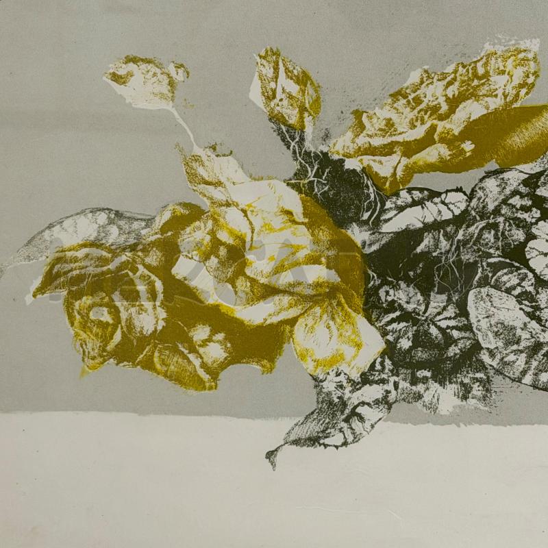 QUADRO LITOGRAFIA 47/60 VESPIGNANI 55X77 | Mercatino dell'Usato Roma torrevecchia 2