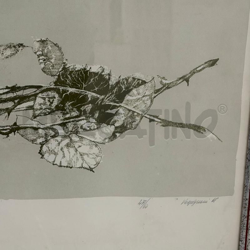 QUADRO LITOGRAFIA 47/60 VESPIGNANI 55X77 | Mercatino dell'Usato Roma torrevecchia 3
