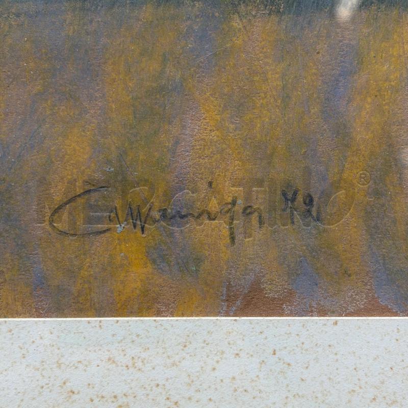 QUADRO TECNICA MISTA GIANCARLO CAZZANIGA PAESAGGIO LACUSTRE  | Mercatino dell'Usato Roma torrevecchia 2