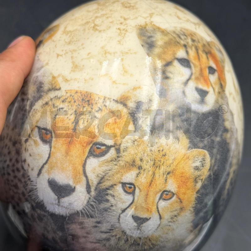 UOVO VARIO DECORO FELINI  | Mercatino dell'Usato Roma torrevecchia 5