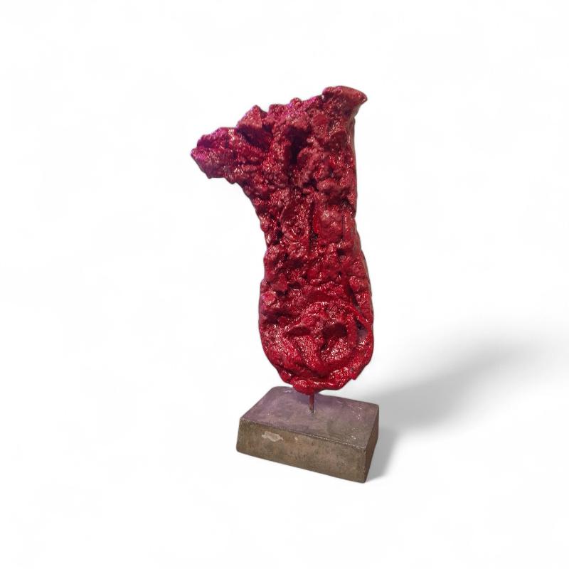 BUSTO DONNA ROSSO BASE GRIGIA | Mercatino dell'Usato Roma ostia 2