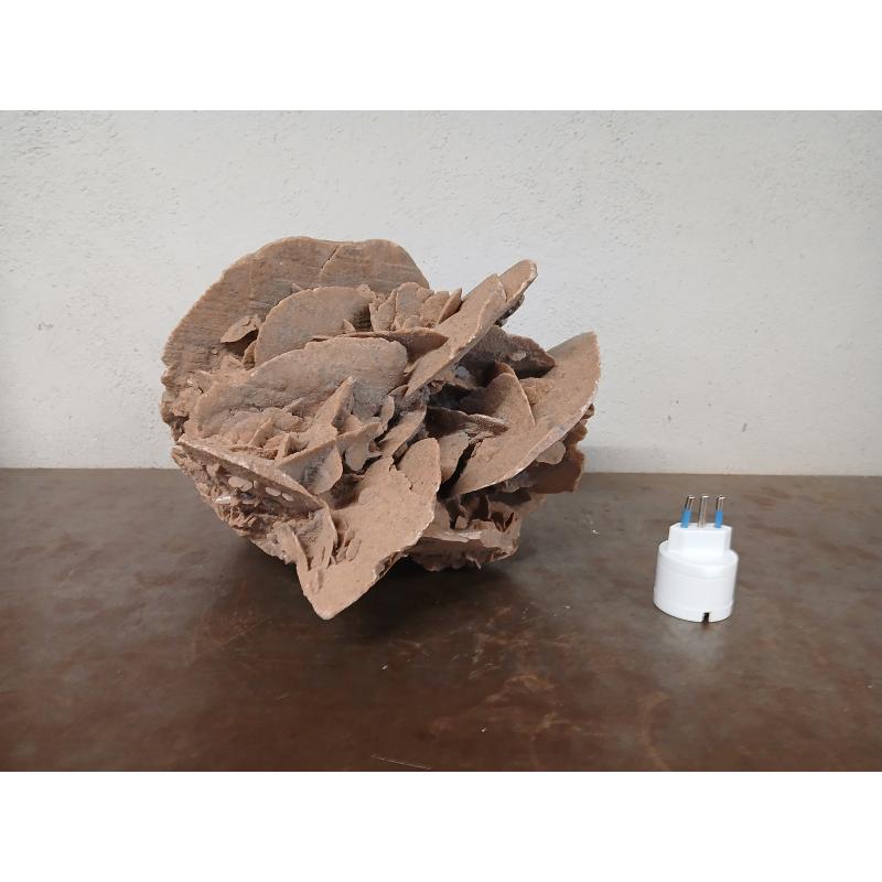 ROSA DEL DESERTO GIGANTE | Mercatino dell'Usato Roma ostia 1