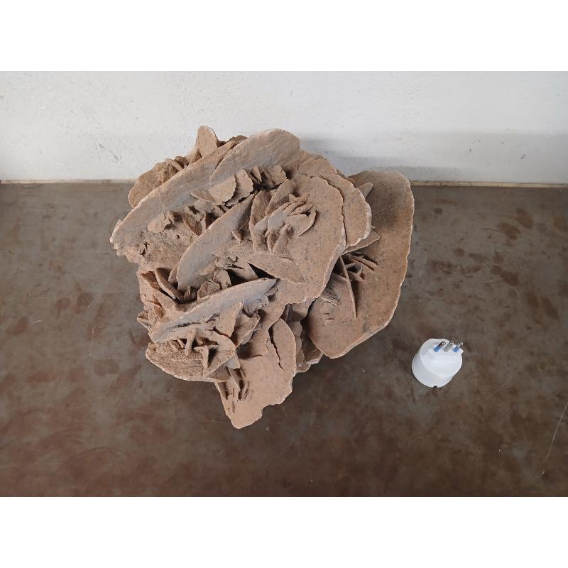 ROSA DEL DESERTO GIGANTE | Mercatino dell'Usato Roma ostia 2