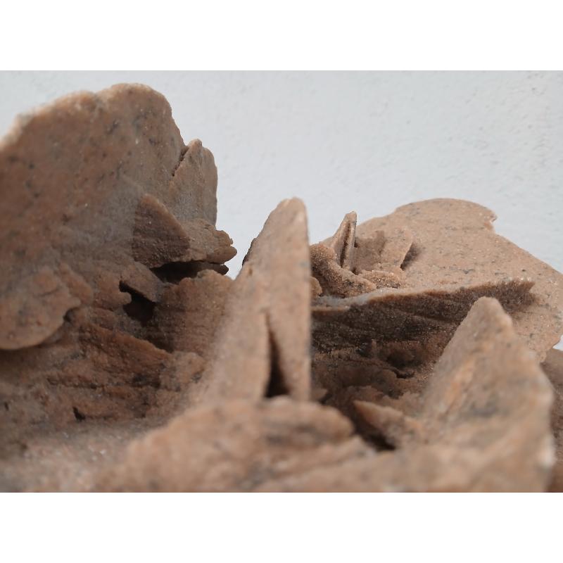 ROSA DEL DESERTO GIGANTE | Mercatino dell'Usato Roma ostia 3