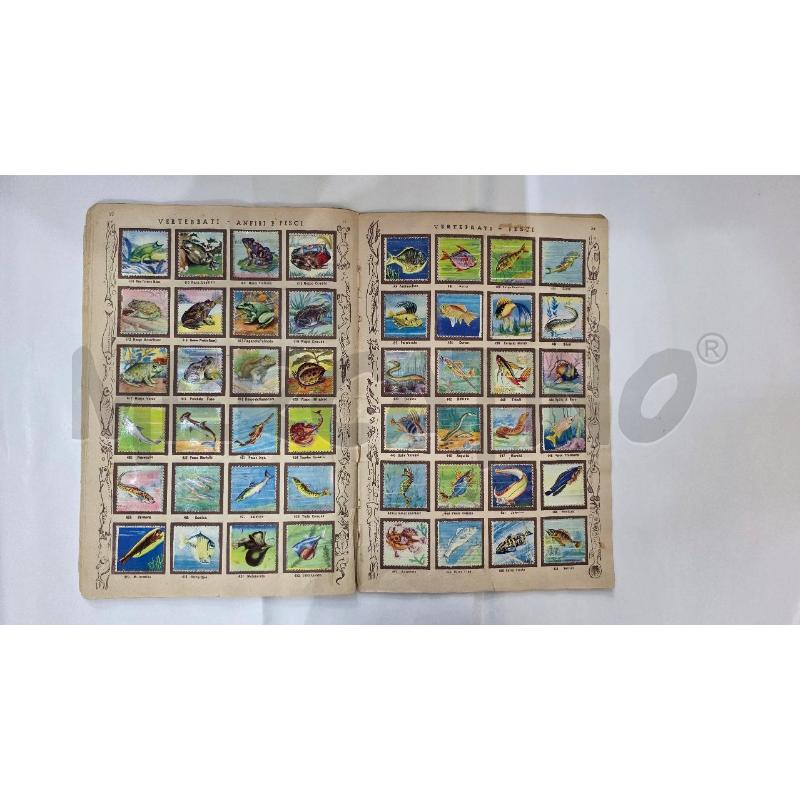 ALBUM PER FIGURINE DI ANIMALI INCOMPLETO | Mercatino dell'Usato Pomezia 5