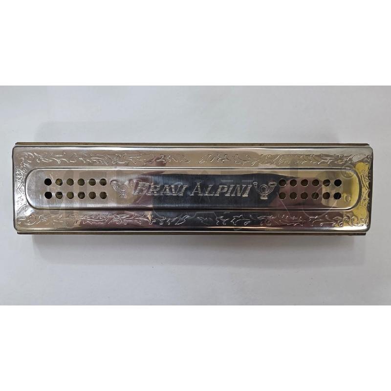 ARMONICA BRAVI ALPINI HOHNER 1317/120 M C/G | Mercatino dell'Usato Pomezia 2