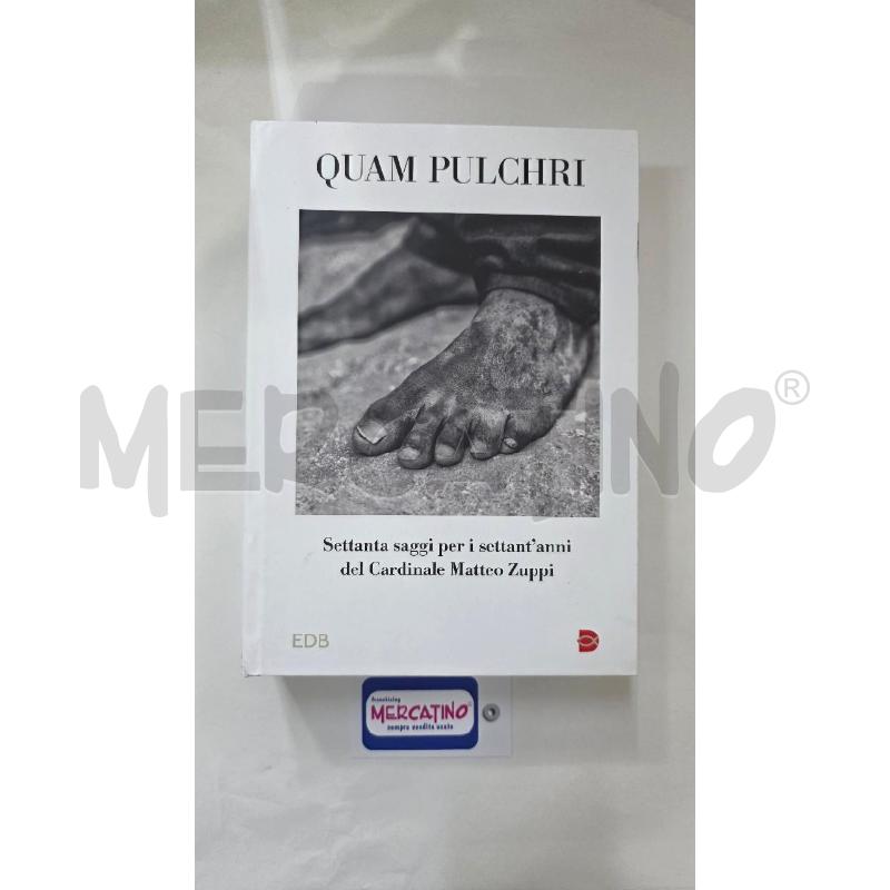 LIBRO QUAM PULCHRI EDB SETTANTA SAGGI MATTEO ZUPPI | Mercatino dell'Usato Pomezia 1
