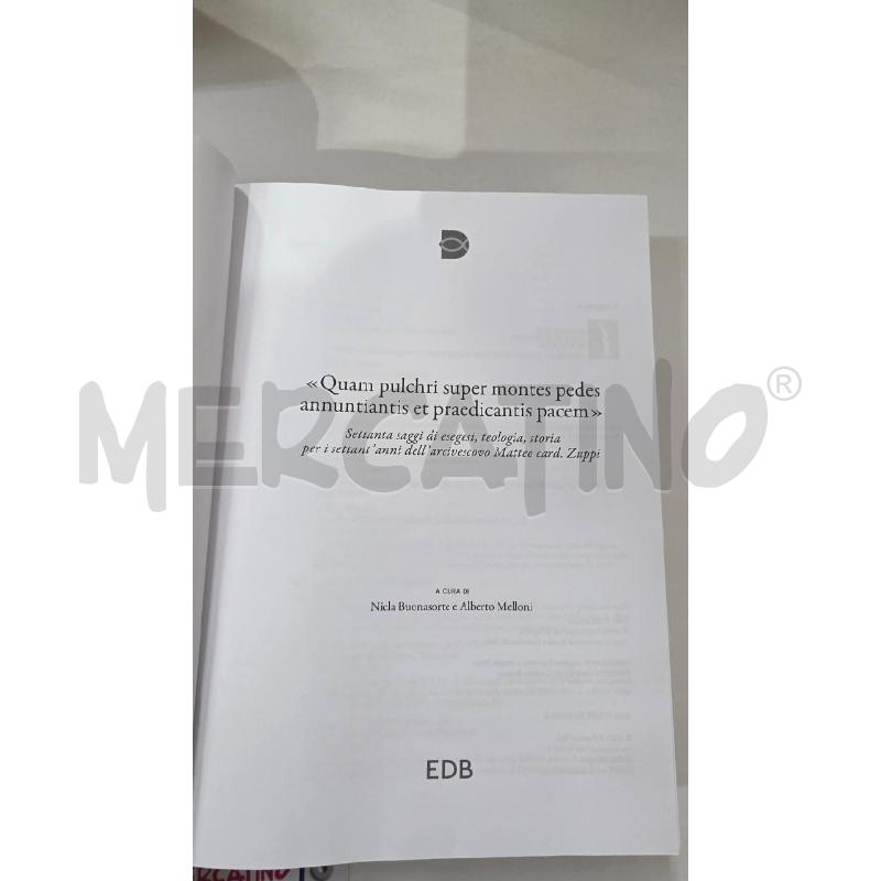 LIBRO QUAM PULCHRI EDB SETTANTA SAGGI MATTEO ZUPPI | Mercatino dell'Usato Pomezia 3