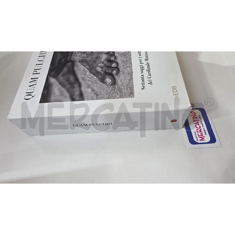 LIBRO QUAM PULCHRI EDB SETTANTA SAGGI MATTEO ZUPPI | Mercatino dell'Usato Pomezia 5