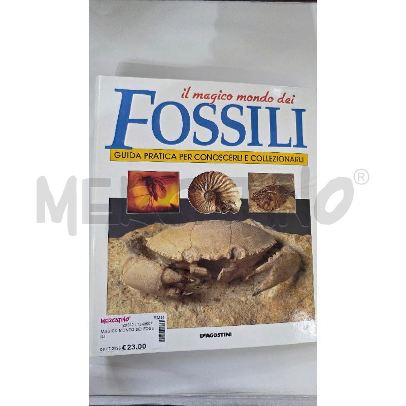 MAGICO MONDO DEI FOSSILI | Mercatino dell'Usato Pomezia 3
