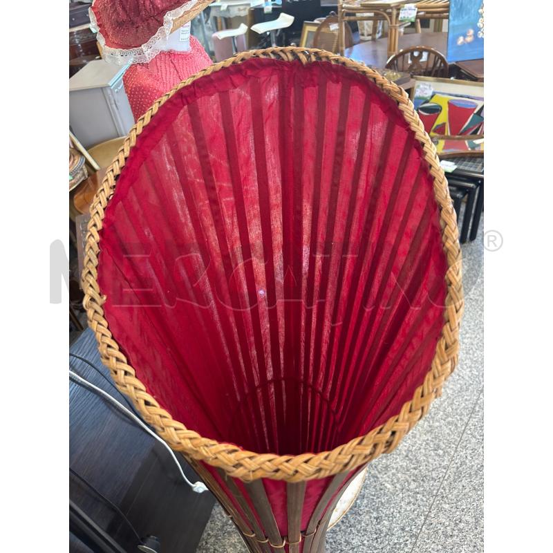 PIANTANA CANNA | Mercatino dell'Usato Pomezia 2