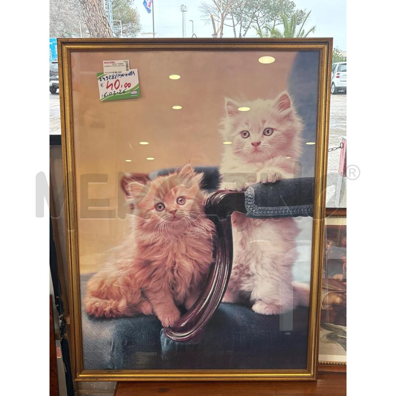 QUADRO STAMPA GATTINI | Mercatino dell'Usato Pomezia 1