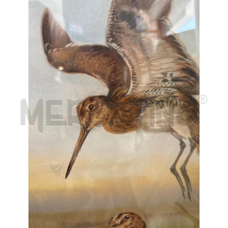 QUADRO VECCHIO NORFINI BECCACCIE | Mercatino dell'Usato Pomezia 3