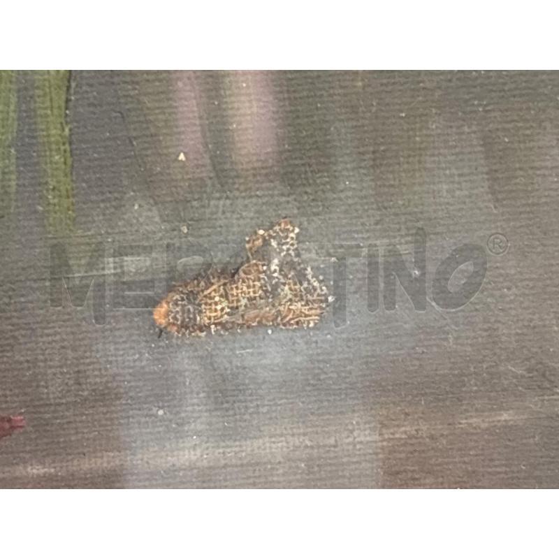 QUADRO VECCHIO NORFINI BECCACCIE | Mercatino dell'Usato Pomezia 5