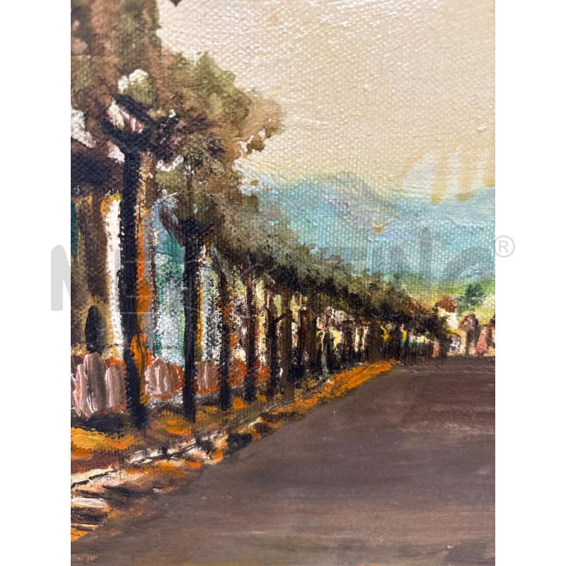 QUADRO VIALE ALBERATO CORNICE BIANCA | Mercatino dell'Usato Pomezia 3