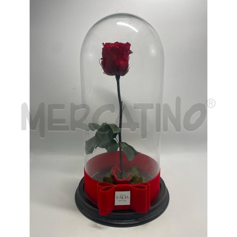 ROSA STABILIZZATA CON TECA PARIS | Mercatino dell'Usato Pomezia 1