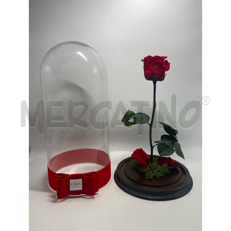 ROSA STABILIZZATA CON TECA PARIS | Mercatino dell'Usato Pomezia 2