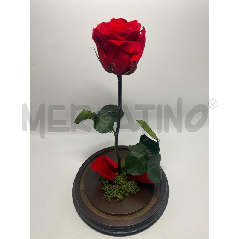 ROSA STABILIZZATA CON TECA PARIS | Mercatino dell'Usato Pomezia 3
