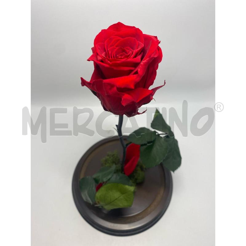 ROSA STABILIZZATA CON TECA PARIS | Mercatino dell'Usato Pomezia 4
