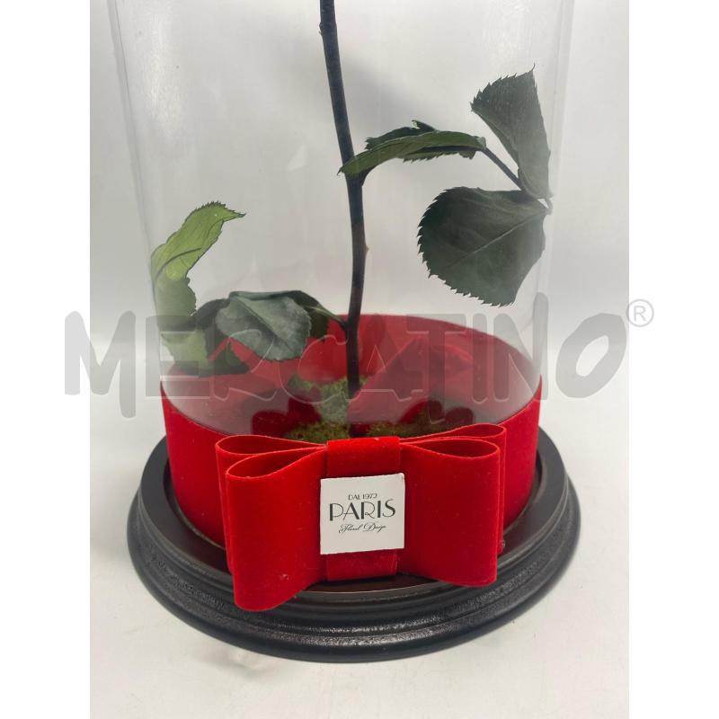 ROSA STABILIZZATA CON TECA PARIS | Mercatino dell'Usato Pomezia 5