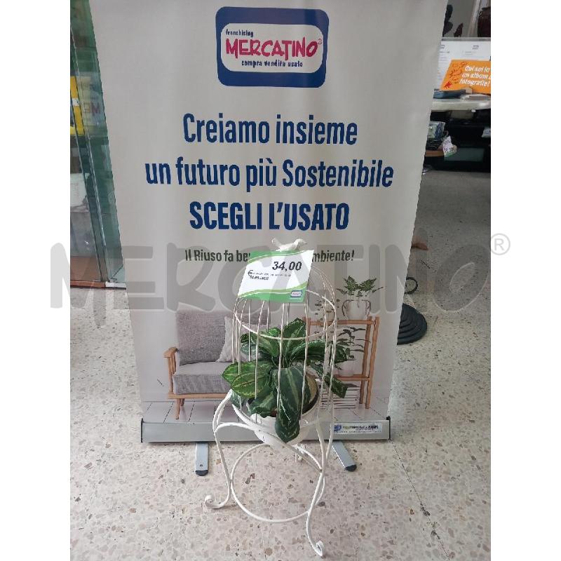FIORIERA  | Mercatino dell'Usato Guidonia montecelio 1