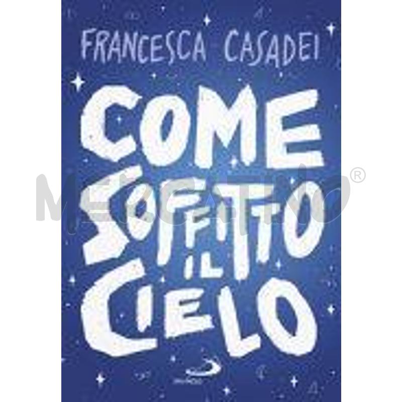 COME SOFFITTO IL CIELO | Mercatino dell'Usato Rimini 1