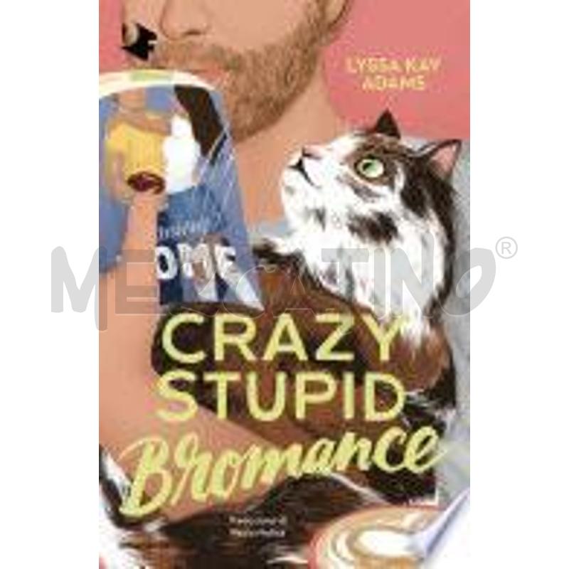 CRAZY STUPID BROMANCE | Mercatino dell'Usato Salerno torrione 1