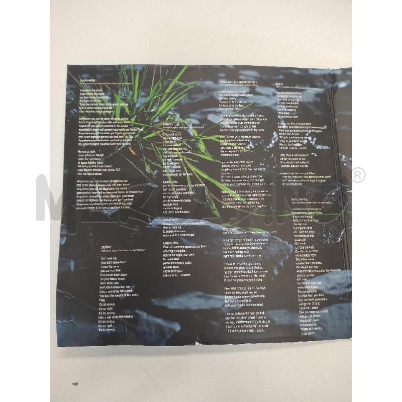 DISCO 33 GIRI ASIANOTFOUND – WHYNOTFRANK | Mercatino dell'Usato Salerno torrione 2