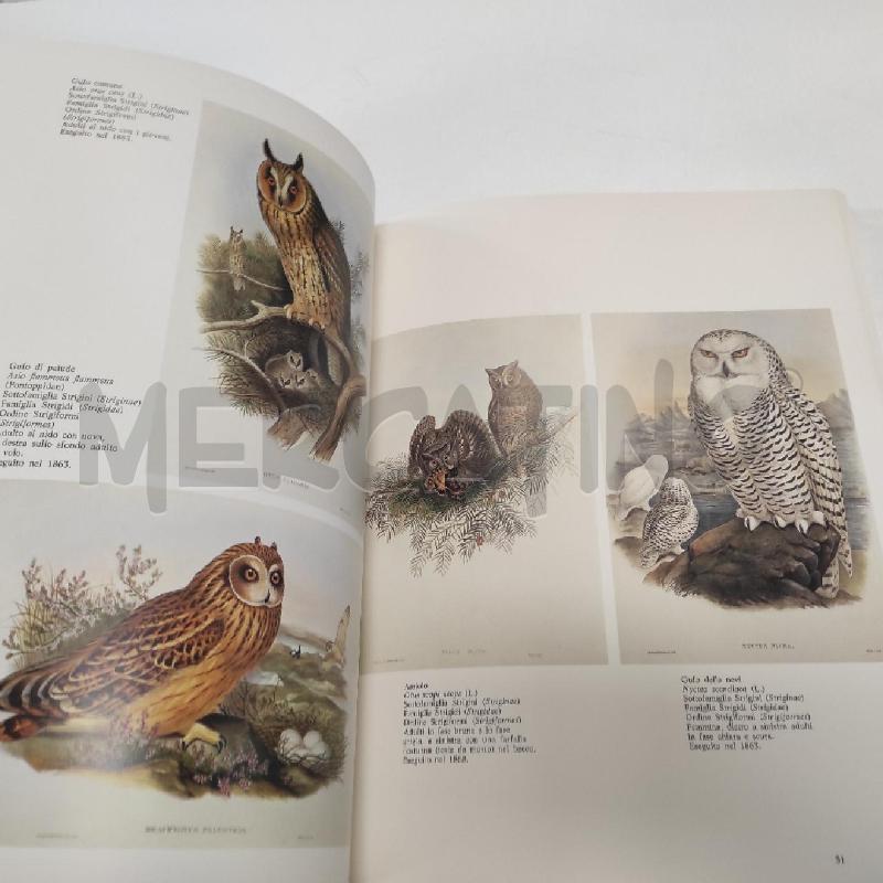 GLI UCCELLI DI JOHN GOULD | Mercatino dell'Usato Salerno torrione 5