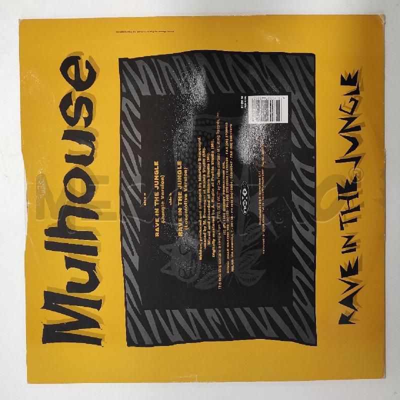 MULHOUSE – RAVE IN THE JUNGLE  | Mercatino dell'Usato Salerno torrione 2