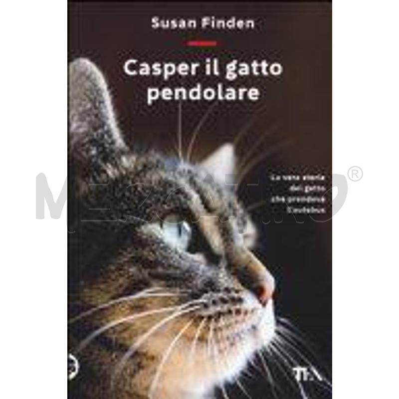 CASPER IL GATTO PENDOLARE. LA VERA STORIA DEL GATT | Mercatino dell'Usato Salerno fratte 1