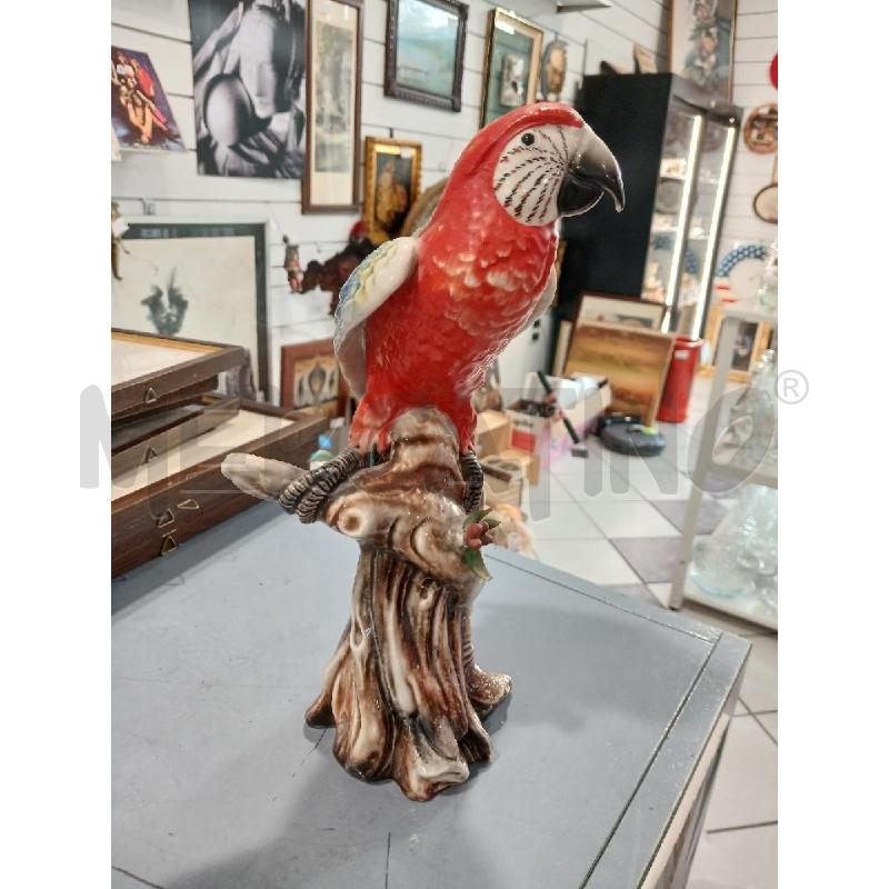 STATUETTA PAPPAGALLO CAPODIMONTE MOLLICA  | Mercatino dell'Usato Salerno fratte 2