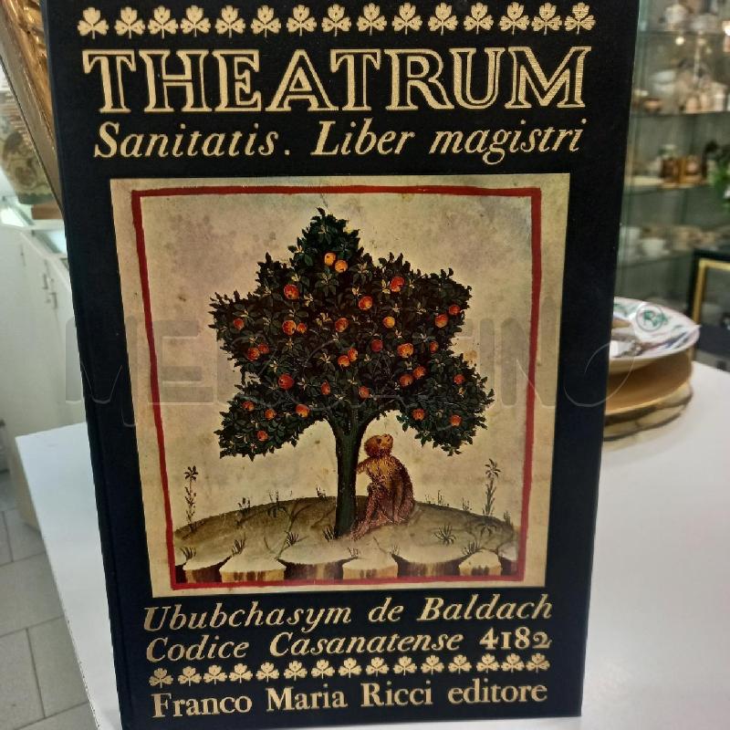 FMR THEATRE | Mercatino dell'Usato Siena 1
