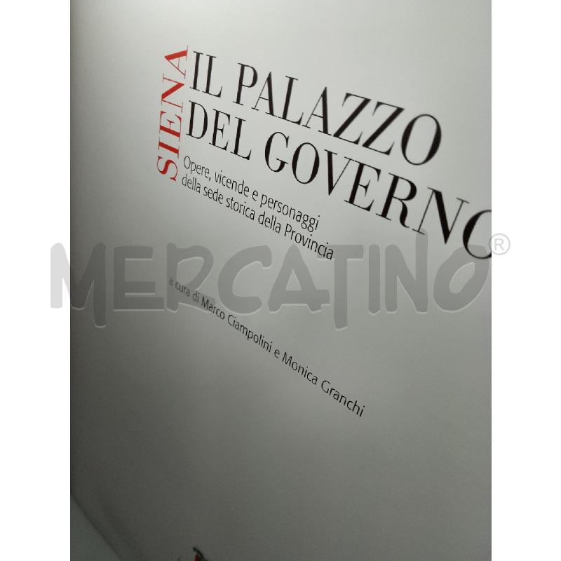 IL PALAZZO DEL GOVERNO | Mercatino dell'Usato Siena 3