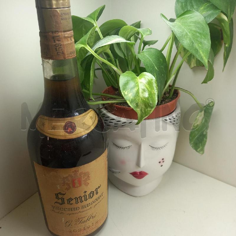 LIQUORE SENIOR VECCHIO BRANDY | Mercatino dell'Usato Siena 1