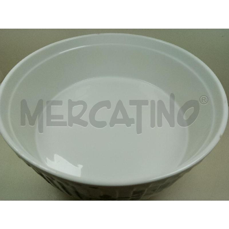 PIROFILA TONDA EDERA | Mercatino dell'Usato Siena 2