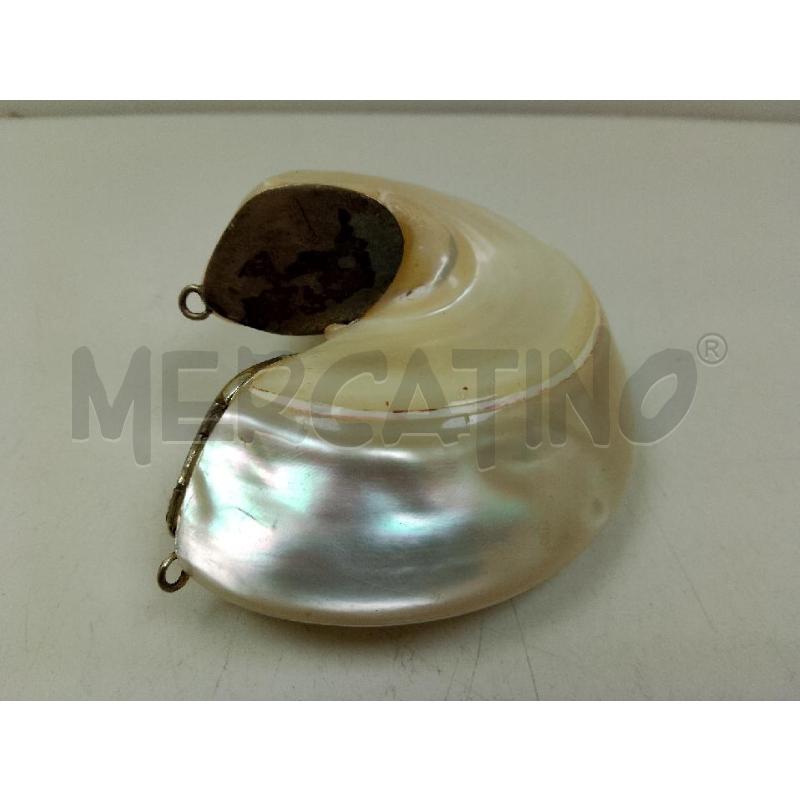 SCATOLA CONCHIGLIA MADREPERLATA | Mercatino dell'Usato Siena 1