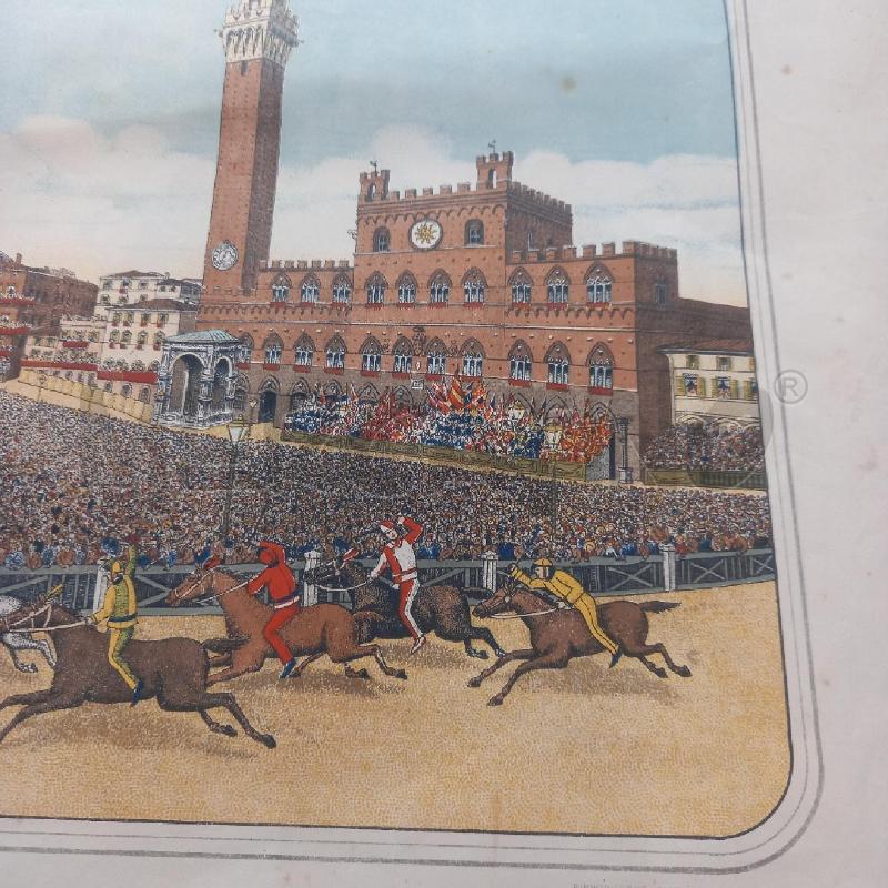 STAMPA VECCHIA CAVALLINO CON OCA PRIMA  | Mercatino dell'Usato Siena 4