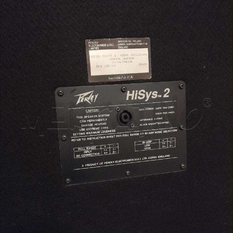 CASSE ACUSTICHE NON AMPLIFICATE PEAVEY | Mercatino dell'Usato Sondrio 2