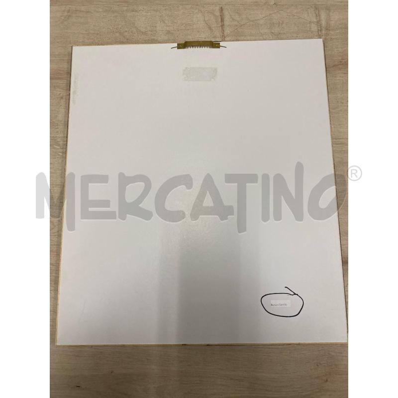 QUADRO SANTILLO | Mercatino dell'Usato Savona 3