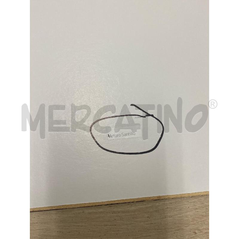 QUADRO SANTILLO | Mercatino dell'Usato Savona 4