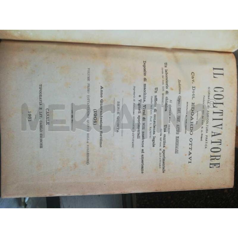 IL COLTIVATORE VOL 8 1898 1899 1900 1901 | Mercatino dell'Usato Cosseria 5