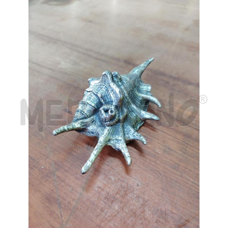 CONCHIGLIA PELTRO ITALY LAMBIS  | Mercatino dell'Usato Manduria 1