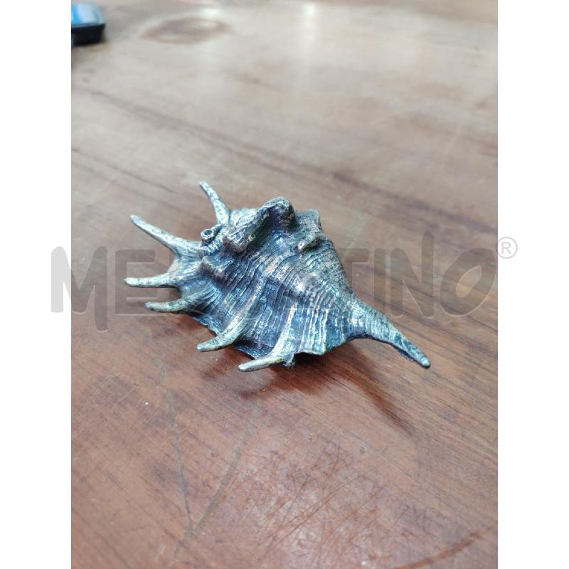 CONCHIGLIA PELTRO ITALY LAMBIS  | Mercatino dell'Usato Manduria 2