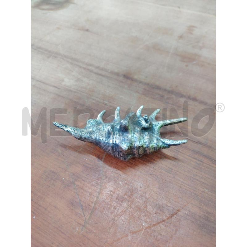 CONCHIGLIA PELTRO ITALY LAMBIS  | Mercatino dell'Usato Manduria 3