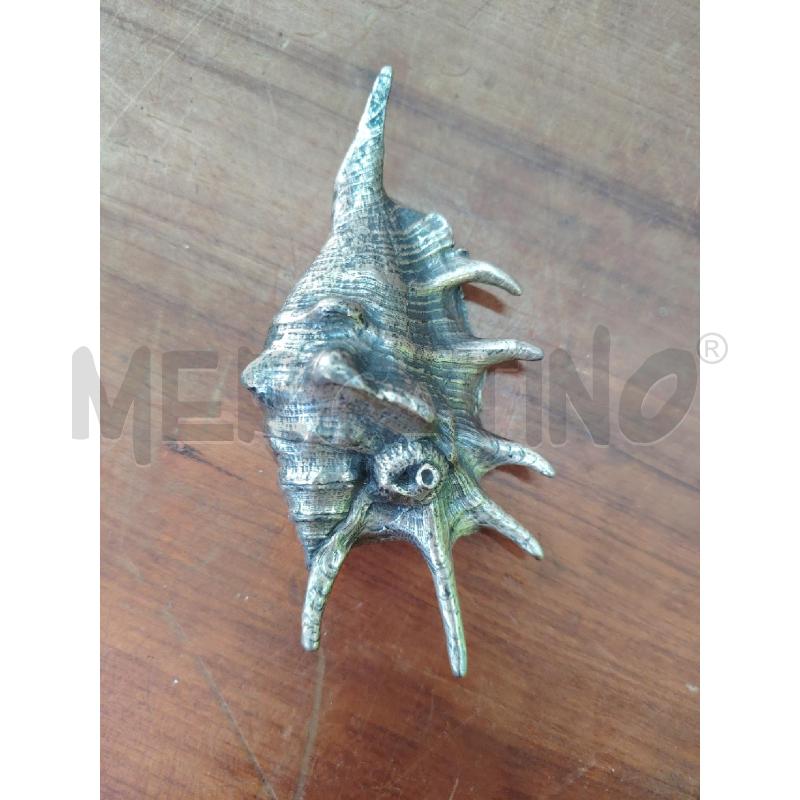 CONCHIGLIA PELTRO ITALY LAMBIS  | Mercatino dell'Usato Manduria 4