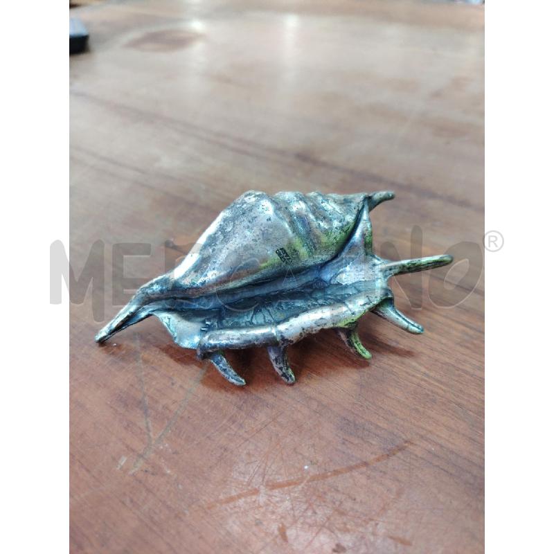 CONCHIGLIA PELTRO ITALY LAMBIS  | Mercatino dell'Usato Manduria 5